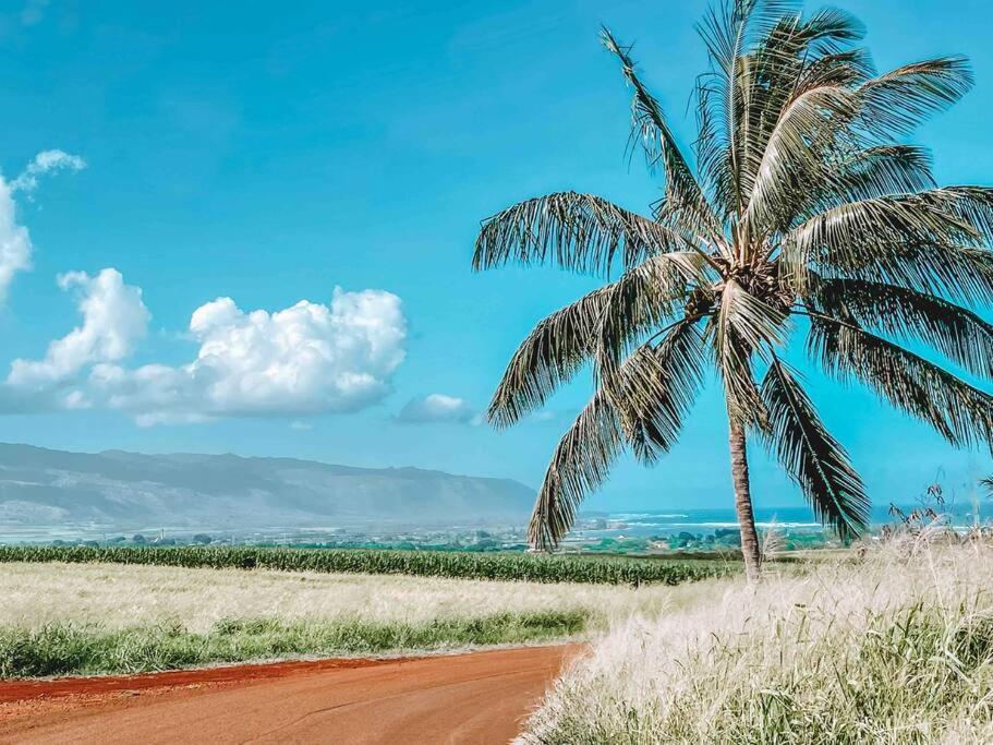 Cute Off Grid Glampsite With Wifi- 5 Min From Haleiwa Town Hotel Exterior photo